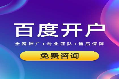 行业报告：专业SEM托管的成功实践与挑战
